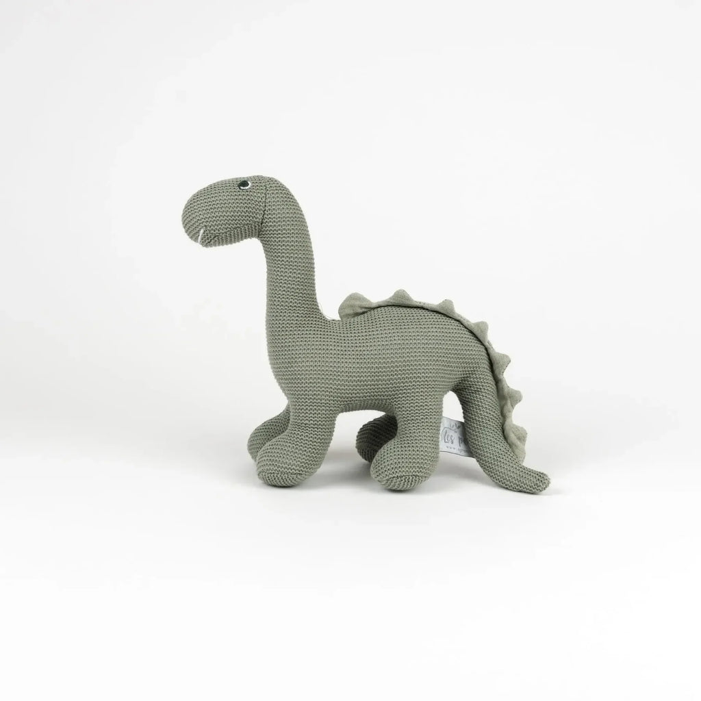 dino teddy