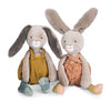 petit lapin ochre