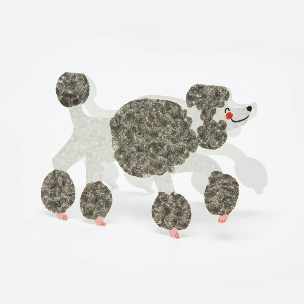 poodle card