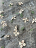 dogwood garland