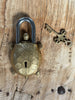 fish padlock