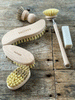 baileys brushes