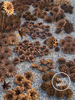 rusty metal flowers