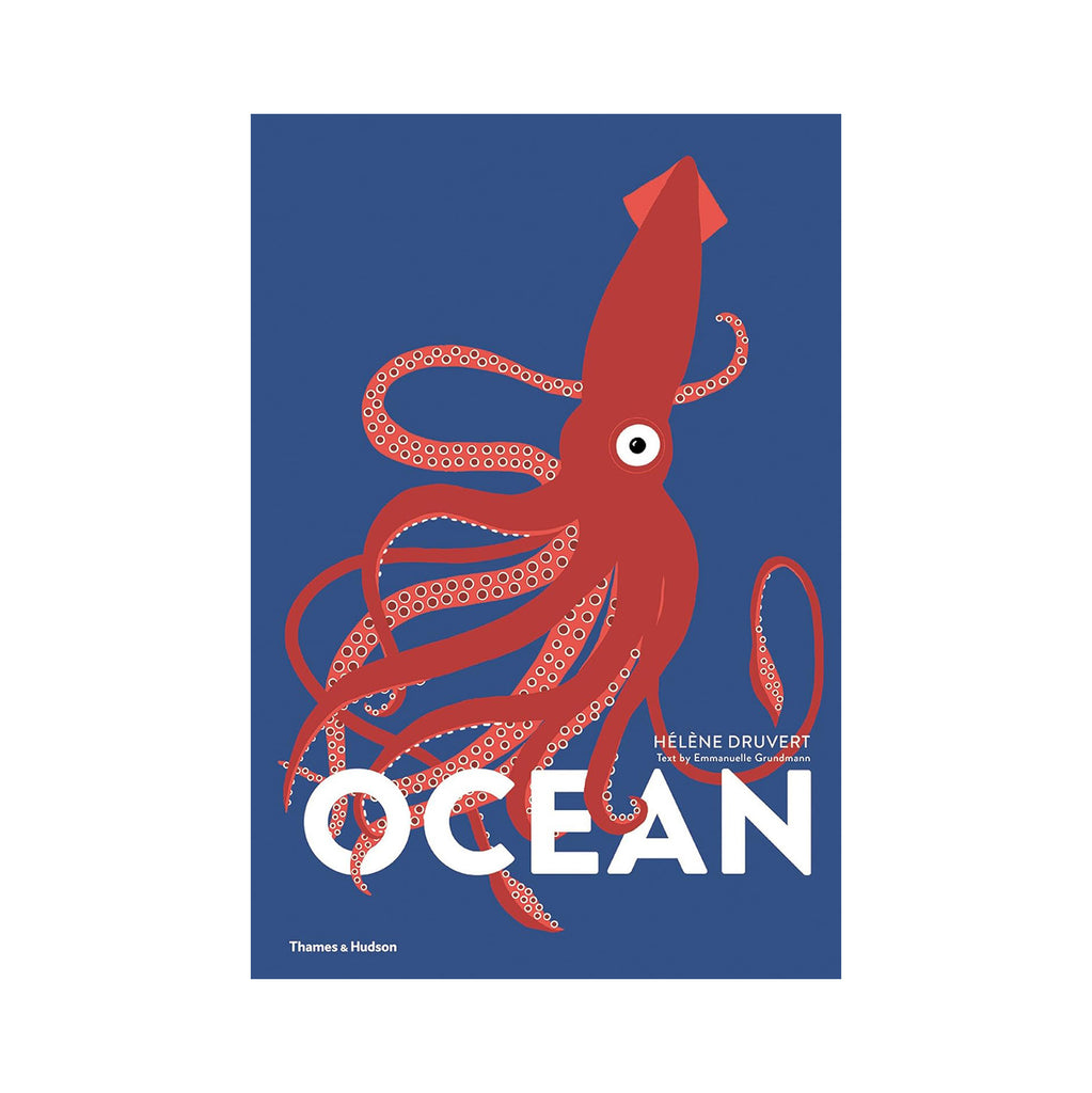 ocean