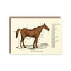 regions of the horse card