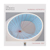 Barbara Hepworth calendar 2027