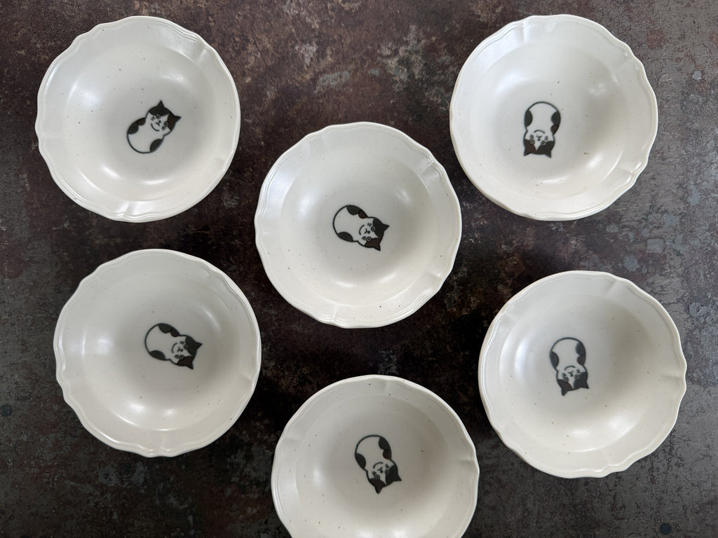 lonely cat bowl