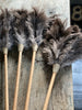 feather dusters