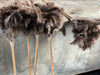 feather dusters